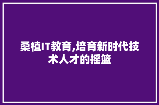 桑植IT教育,培育新时代技术人才的摇篮