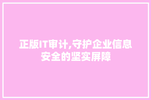 正版IT审计,守护企业信息安全的坚实屏障