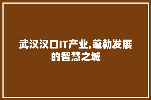 武汉汉口IT产业,蓬勃发展的智慧之城