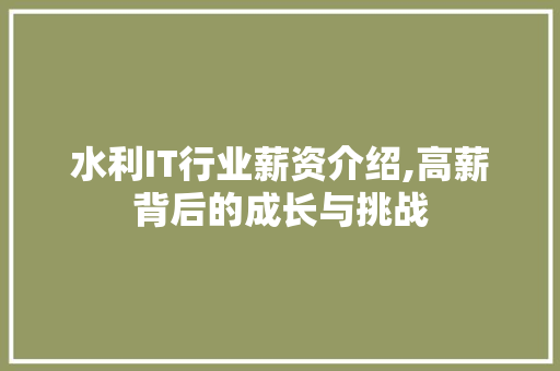水利IT行业薪资介绍,高薪背后的成长与挑战