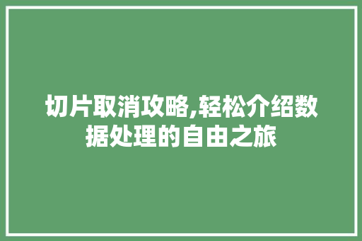 切片取消攻略,轻松介绍数据处理的自由之旅 服务器/数据库