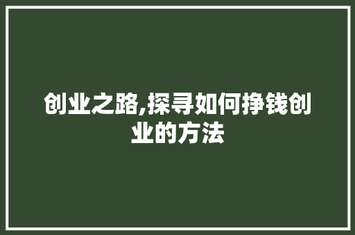 创业之路,探寻如何挣钱创业的方法 服务器/数据库