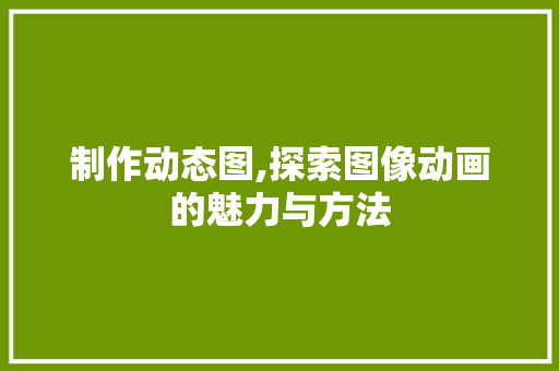 制作动态图,探索图像动画的魅力与方法 建站教程