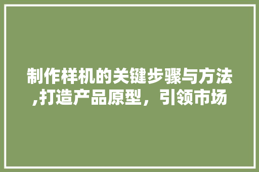 制作样机的关键步骤与方法,打造产品原型，引领市场先机 服务器/数据库