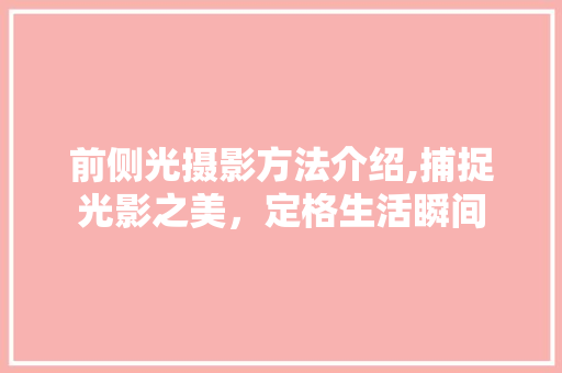 前侧光摄影方法介绍,捕捉光影之美，定格生活瞬间