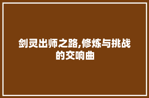 剑灵出师之路,修炼与挑战的交响曲
