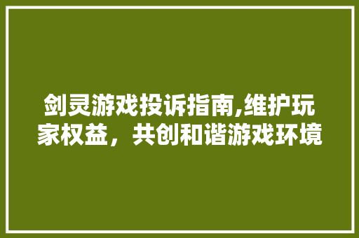 剑灵游戏投诉指南,维护玩家权益，共创和谐游戏环境