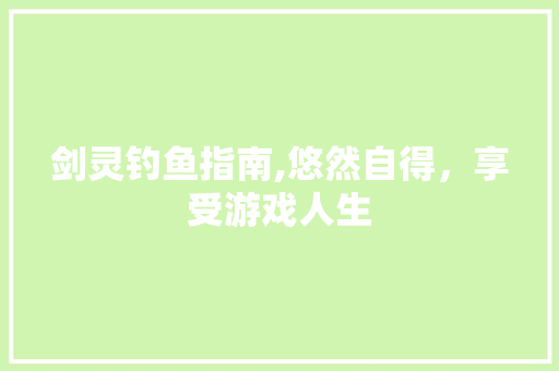 剑灵钓鱼指南,悠然自得，享受游戏人生