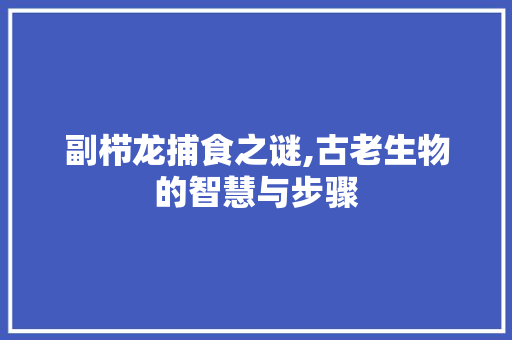 副栉龙捕食之谜,古老生物的智慧与步骤 SEO教程
