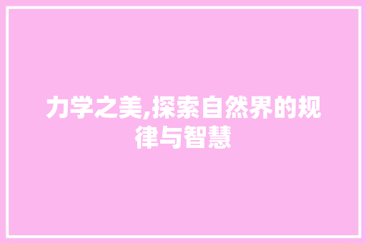 力学之美,探索自然界的规律与智慧 SEO教程