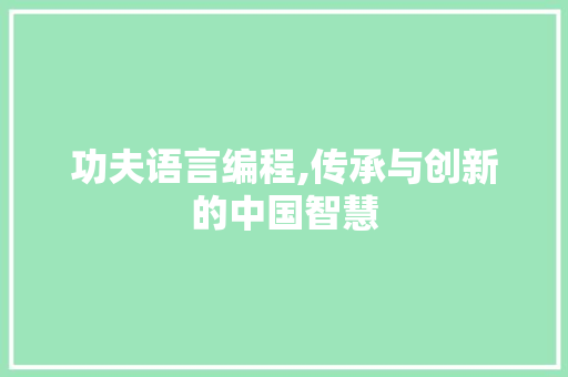 功夫语言编程,传承与创新的中国智慧 SEO教程