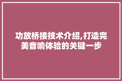 功放桥接技术介绍,打造完美音响体验的关键一步