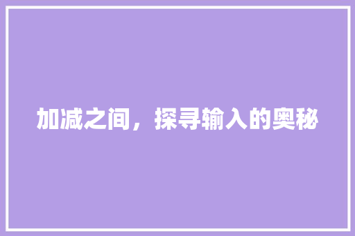 加减之间，探寻输入的奥秘