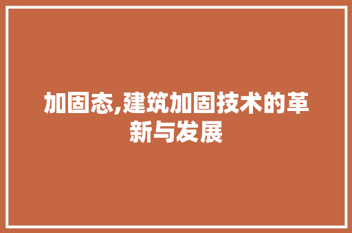 加固态,建筑加固技术的革新与发展