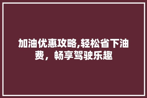 加油优惠攻略,轻松省下油费，畅享驾驶乐趣 建站教程