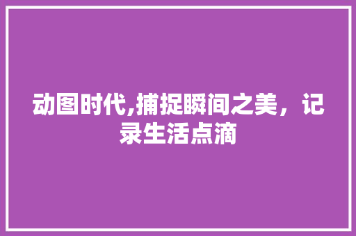 动图时代,捕捉瞬间之美，记录生活点滴 服务器/数据库