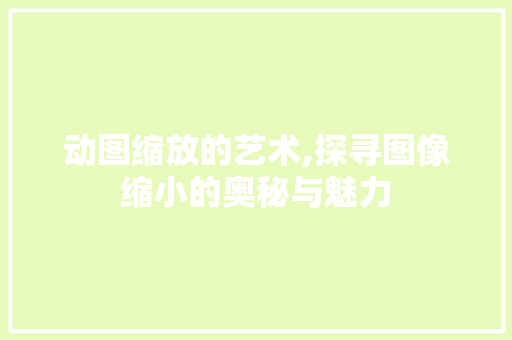 动图缩放的艺术,探寻图像缩小的奥秘与魅力