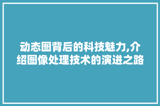 动态图背后的科技魅力,介绍图像处理技术的演进之路