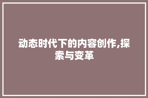 动态时代下的内容创作,探索与变革
