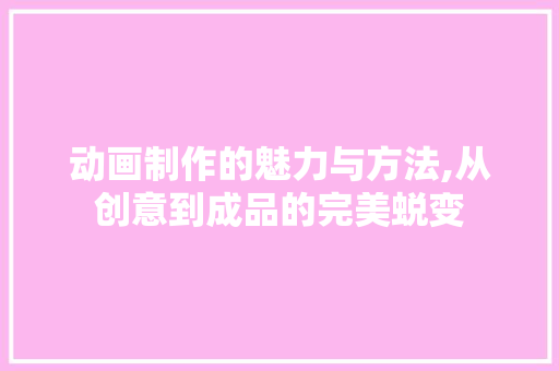 动画制作的魅力与方法,从创意到成品的完美蜕变