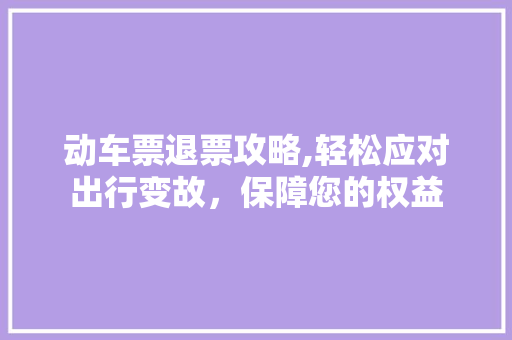 动车票退票攻略,轻松应对出行变故，保障您的权益
