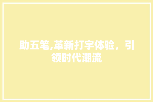 助五笔,革新打字体验，引领时代潮流