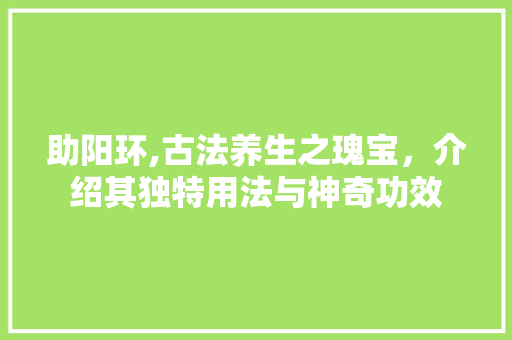 助阳环,古法养生之瑰宝，介绍其独特用法与神奇功效
