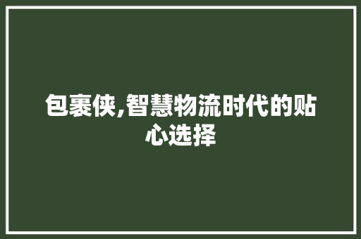 包裹侠,智慧物流时代的贴心选择