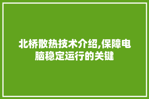 北桥散热技术介绍,保障电脑稳定运行的关键