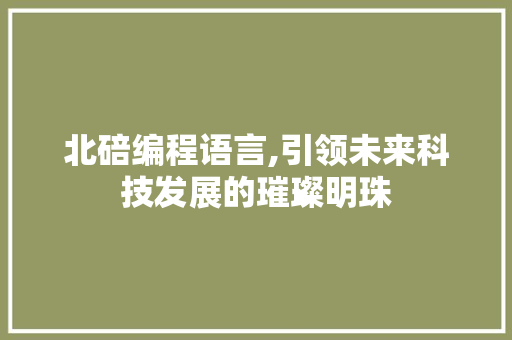 北碚编程语言,引领未来科技发展的璀璨明珠