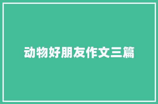 匿名短信,介绍隐私保护与信息传递的平衡艺术