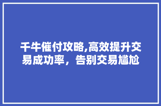 千牛催付攻略,高效提升交易成功率，告别交易尴尬 建站教程