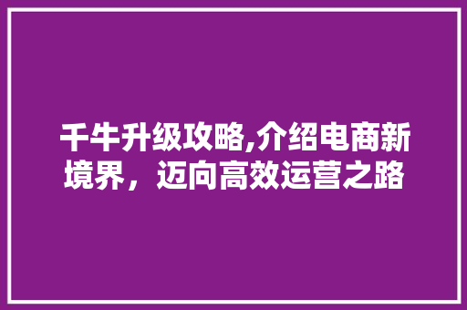 千牛升级攻略,介绍电商新境界，迈向高效运营之路 WordPress教程