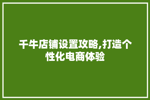 千牛店铺设置攻略,打造个性化电商体验 SEO教程