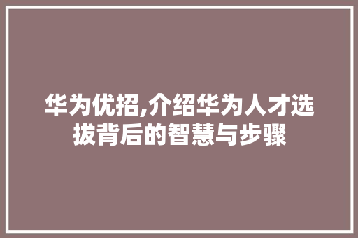 华为优招,介绍华为人才选拔背后的智慧与步骤