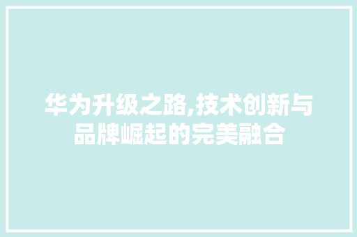 华为升级之路,技术创新与品牌崛起的完美融合