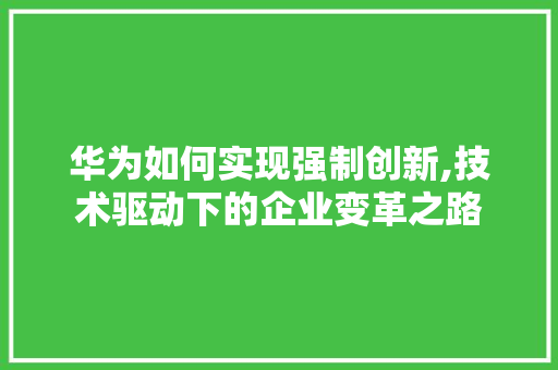 华为如何实现强制创新,技术驱动下的企业变革之路 Web前端