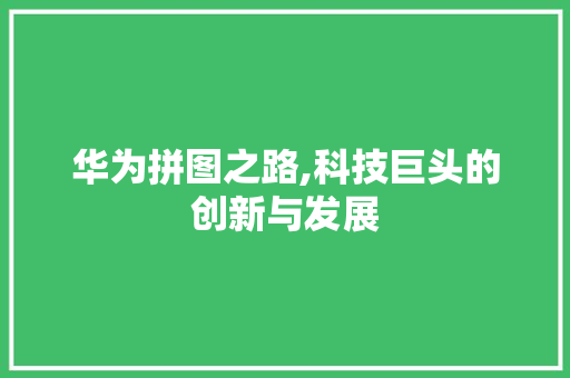 华为拼图之路,科技巨头的创新与发展