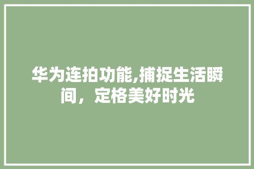 华为连拍功能,捕捉生活瞬间，定格美好时光