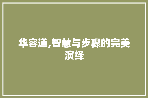 华容道,智慧与步骤的完美演绎 友链在线