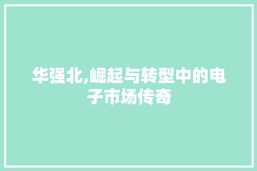 华强北,崛起与转型中的电子市场传奇