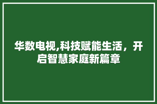 华数电视,科技赋能生活，开启智慧家庭新篇章 WordPress教程
