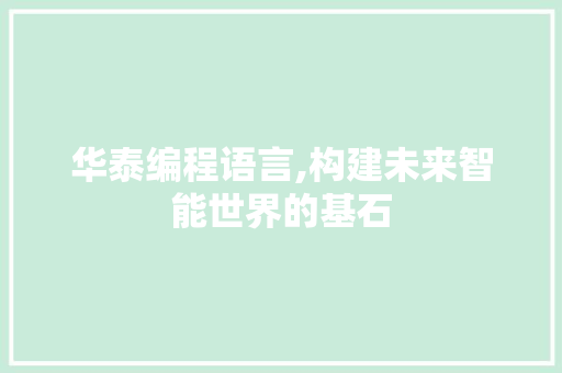华泰编程语言,构建未来智能世界的基石