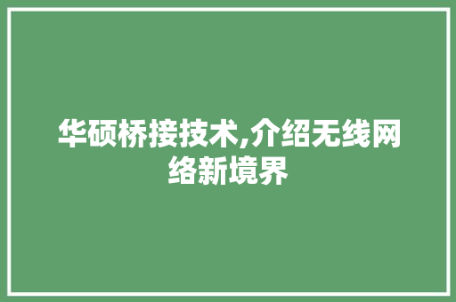 华硕桥接技术,介绍无线网络新境界 SEO教程