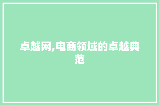 卓越网,电商领域的卓越典范