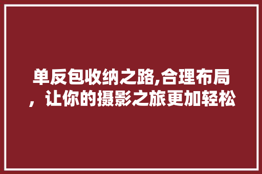 单反包收纳之路,合理布局，让你的摄影之旅更加轻松愉快 服务器/数据库