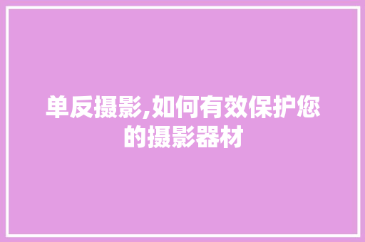 单反摄影,如何有效保护您的摄影器材 SEO教程