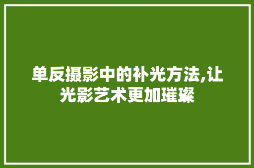 单反摄影中的补光方法,让光影艺术更加璀璨 建站教程
