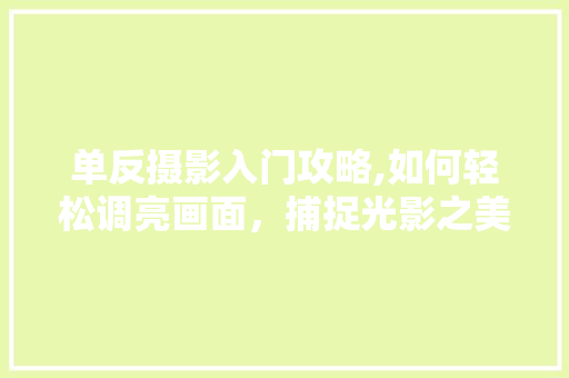 单反摄影入门攻略,如何轻松调亮画面，捕捉光影之美 服务器/数据库