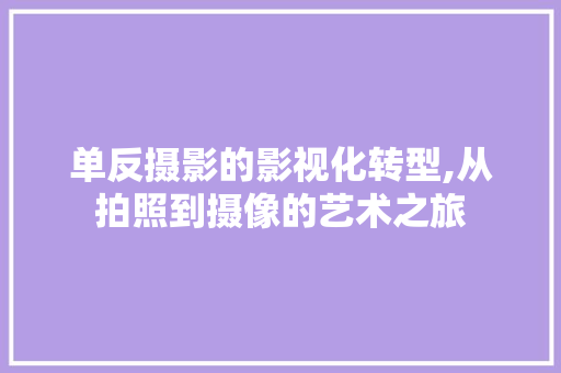 单反摄影的影视化转型,从拍照到摄像的艺术之旅 SEO教程